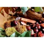 Faca Retalhar Castanhas 231.3245.03