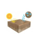 Oleo Hibrido Woodskin