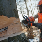 Motosserra a Gasolina MS 661 C-M - Image 2